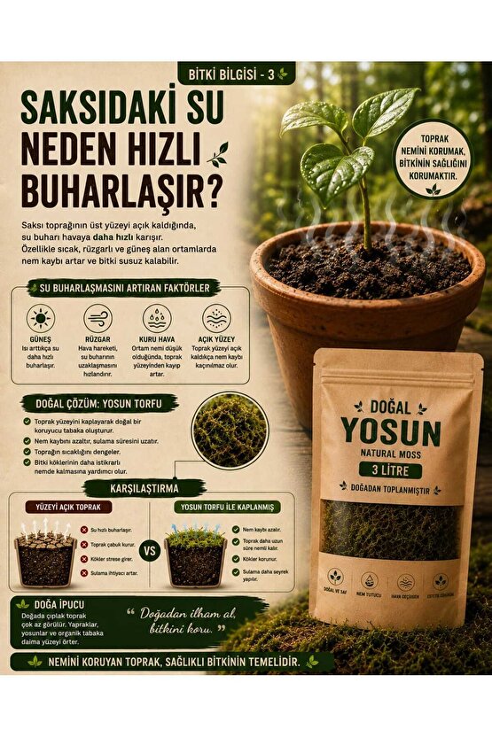 6 Litre Doğal Yosun Torfu, Lif Parça Canlı Spagnum Floor Moss Yosun, Teraryum, Orkide, Toprak Katkısı,Dekor