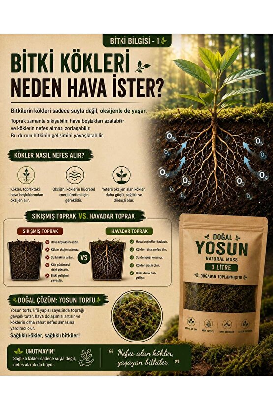 6 Litre Doğal Yosun Torfu, Lif Parça Canlı Spagnum Floor Moss Yosun, Teraryum, Orkide, Toprak Katkısı,Dekor