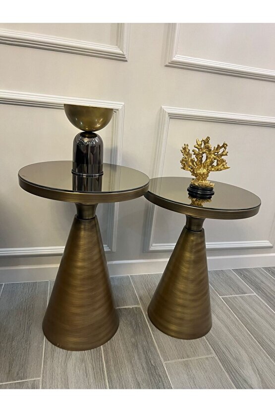 ZANOR 2 Lİ FIRÇALI GOLD ZİGON