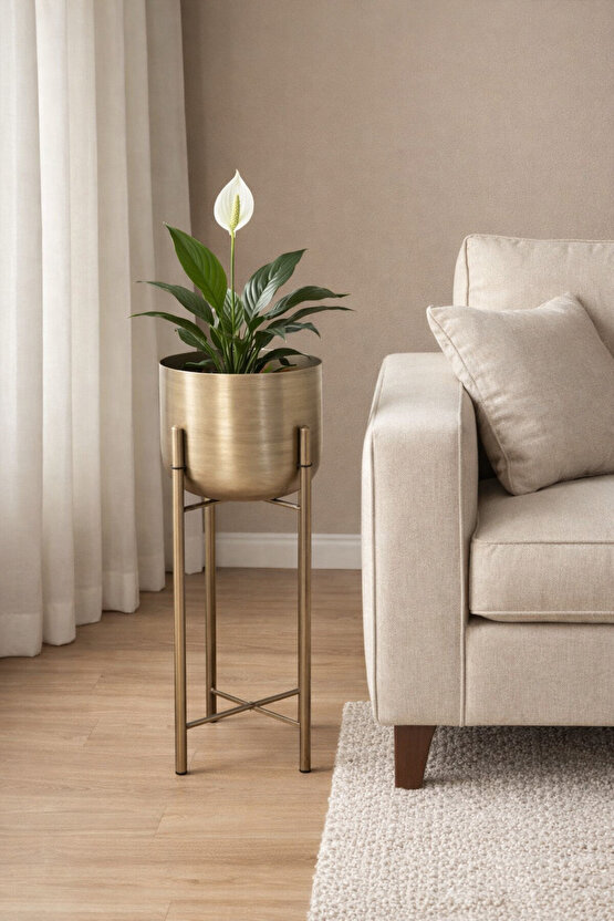 ATLAS 60 CM ÇAP 25 CM GOLD ESKİTME SAKSILIK