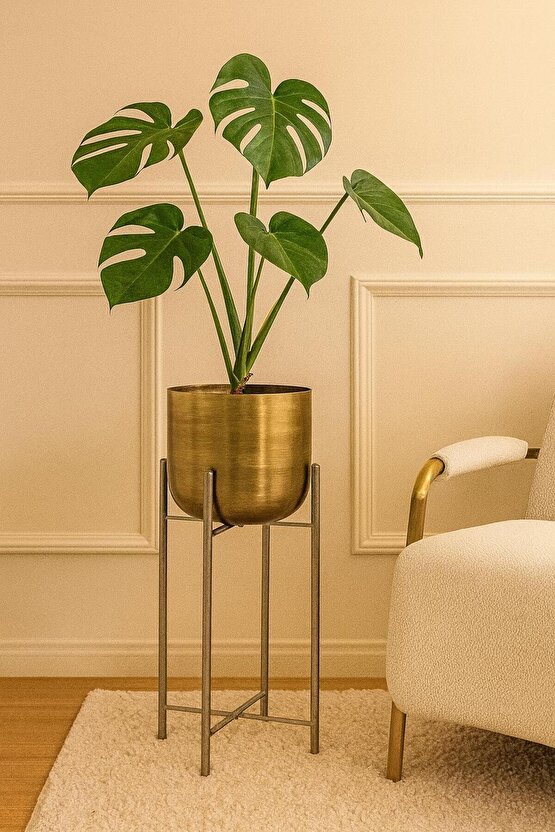 ATLAS 60 CM ÇAP 25 CM GOLD ESKİTME SAKSILIK