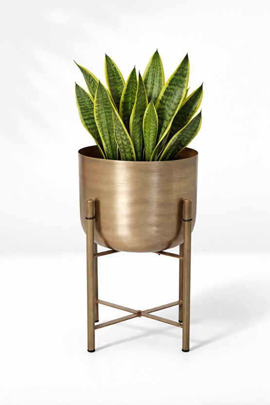45 CM METAL GOLD ESKİTME SAKSILIK ÇAP 25 CM