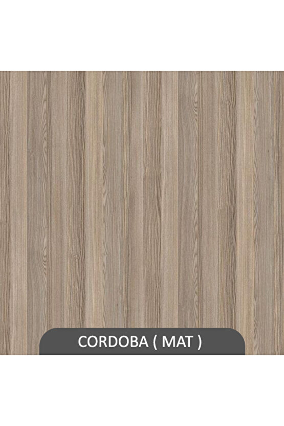 KUTU RAF - MODEL 10 ( DERİNLİK 20 CM ) CORDOBA ( MAT )