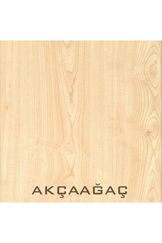 Alara Duvar Kitaplık - Akçaağaç