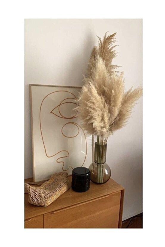 Zemerya - 10 Adet Doğal Pampas Otu 50 Cm