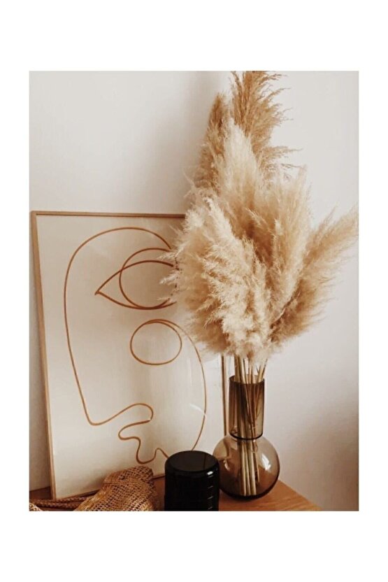 Zemerya - 10 Adet Doğal Pampas Otu 50 Cm