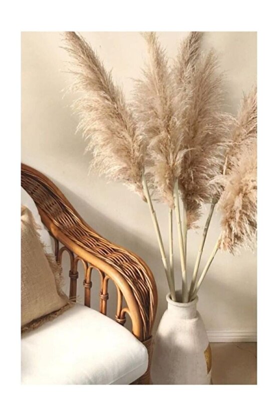 Zemerya - 10 Adet Doğal Pampas Otu 50 Cm