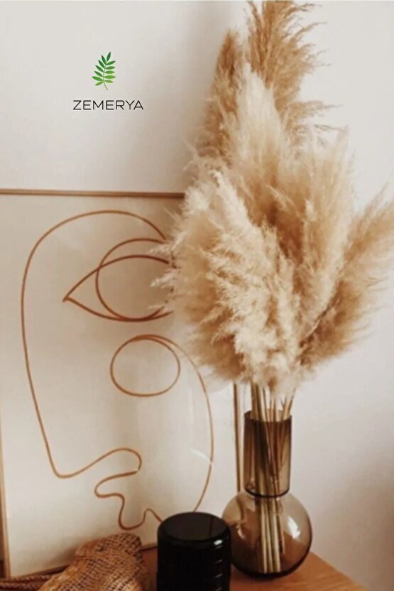 Zemerya - 10 Adet Doğal Pampas Otu 50 Cm