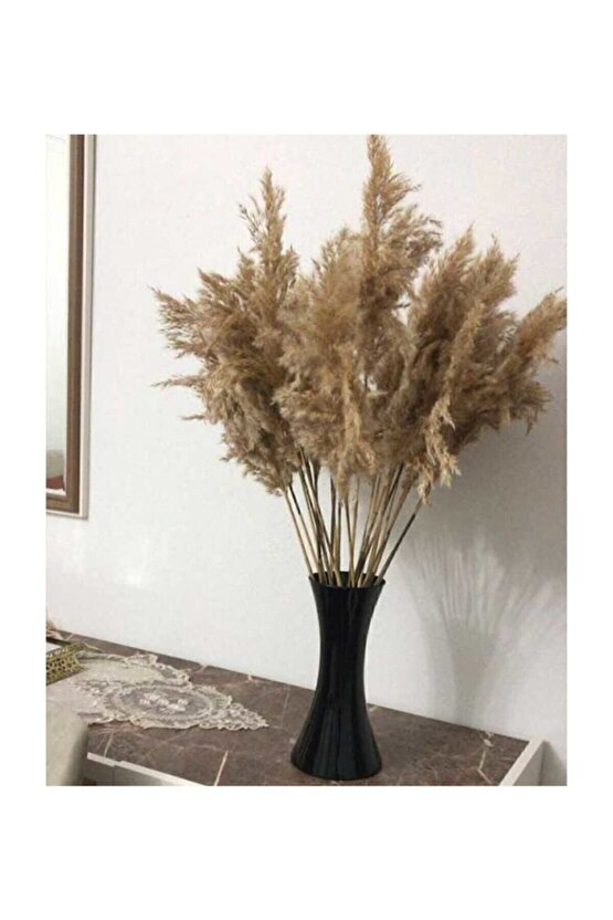Zemerya - 10 Adet Doğal Pampas Otu 50 Cm