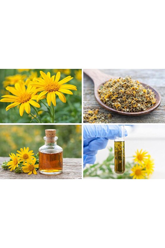 ARNİCA KREM MORE&MORE (Arnica Montana - Sarı Kantoron - Niasin - Aloe Vera - Yeşil Çay - At Kestanesi )