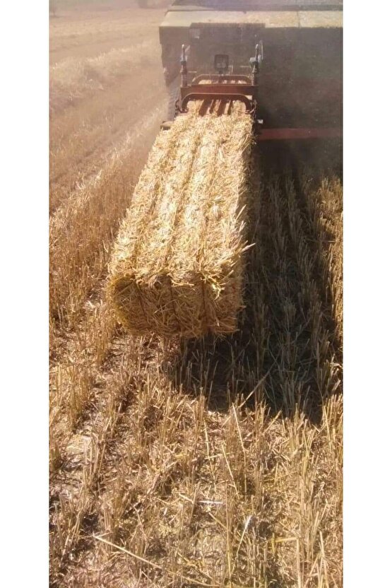 Canbay Dogal Urunler 2 Kg Balya Saman Arpa Buğday