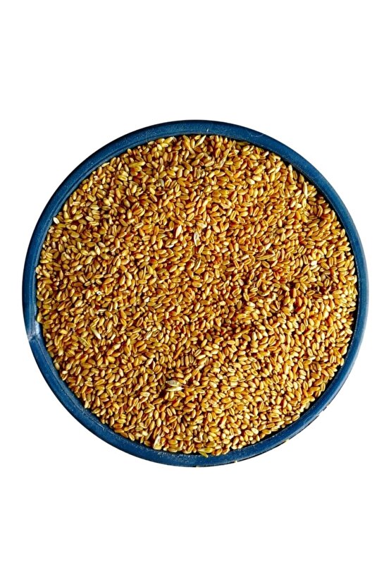Yemlik Buğday - 5 Kg (tavuk, Piliç, Hindi, Ördek, Güvercin, Kaz )