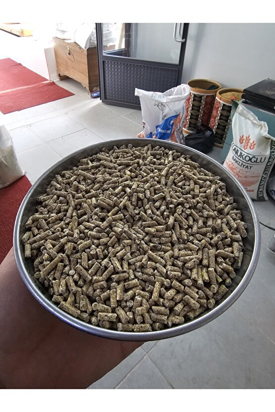 GEZEN TAVUK YUMURTA YEMİ 5 KG PELET YEM