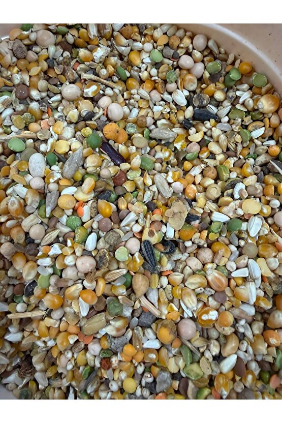 urazmixgüvercin 5 kg