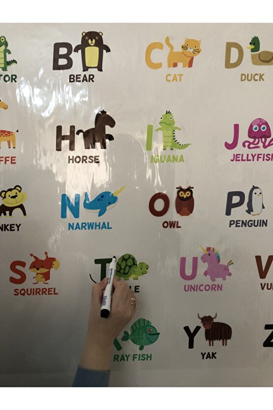 İngilizce Eğitici Harfler Çalışması Harf Öğrenme Ilkokul Öğrencisi Eğitim Yazı Tahtası 70x100 Cm