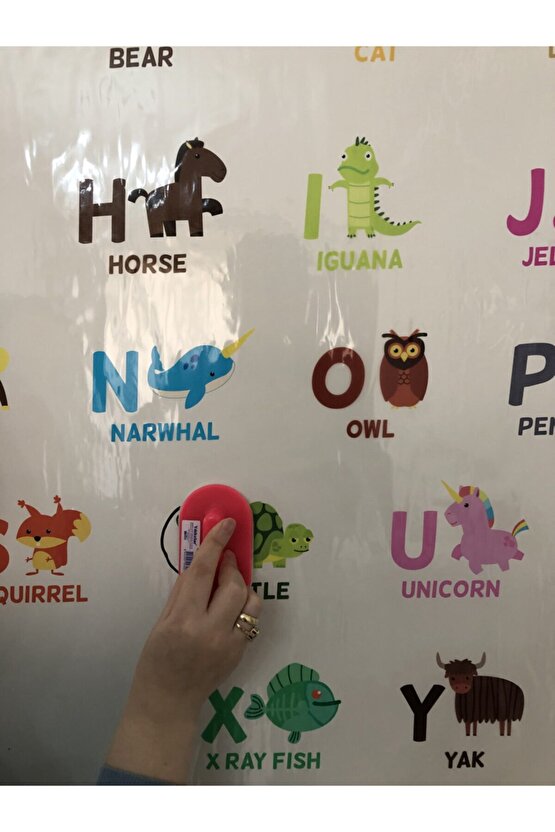 İngilizce Eğitici Harfler Çalışması Harf Öğrenme Ilkokul Öğrencisi Eğitim Yazı Tahtası 70x100 Cm