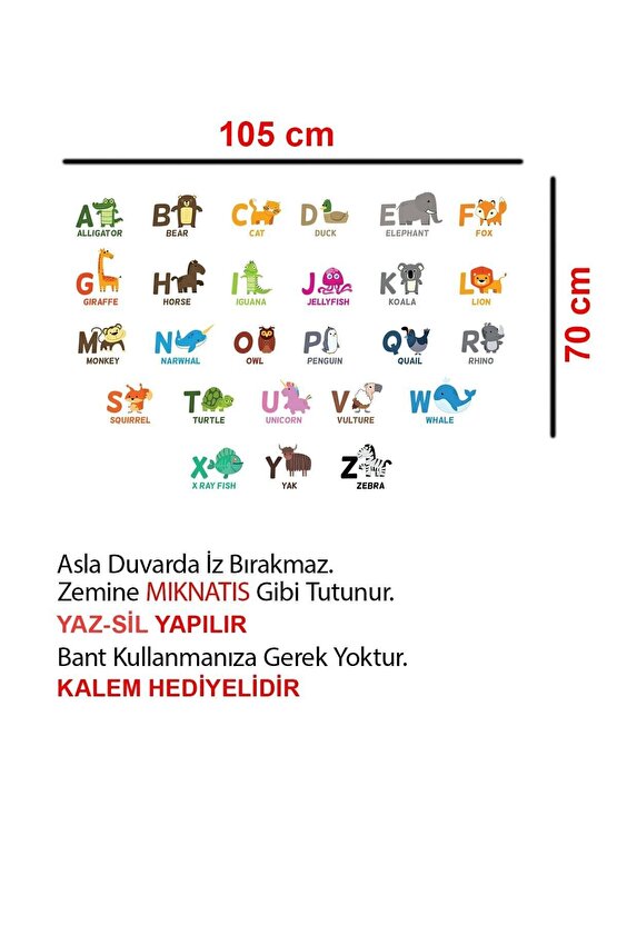 İngilizce Eğitici Harfler Çalışması Harf Öğrenme Ilkokul Öğrencisi Eğitim Yazı Tahtası 70x100 Cm