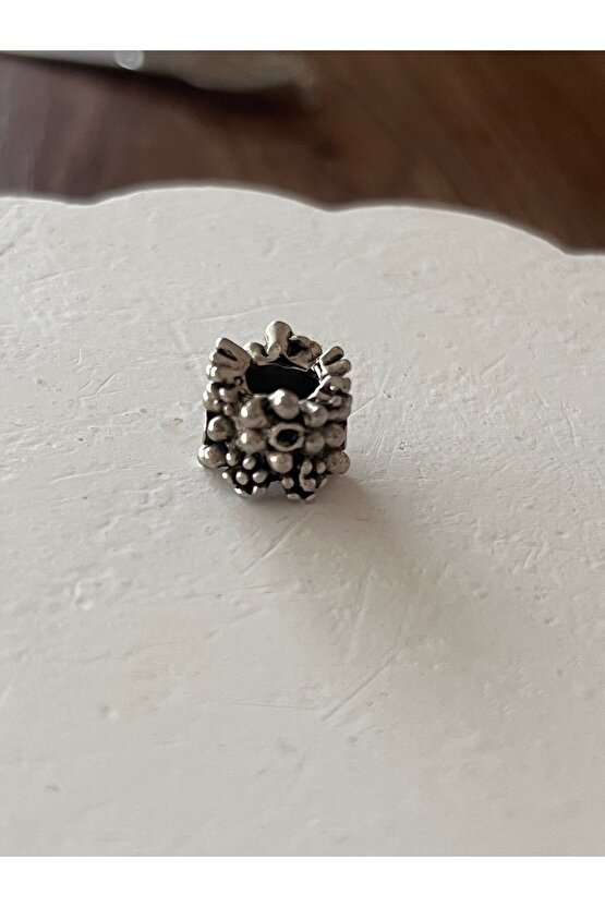 Çelik charm
