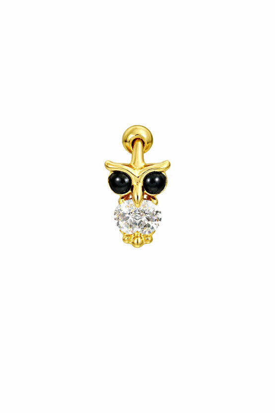 Gümüş Baykuş Piercing