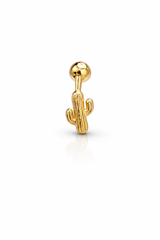 Gümüş Kaktüs Piercing