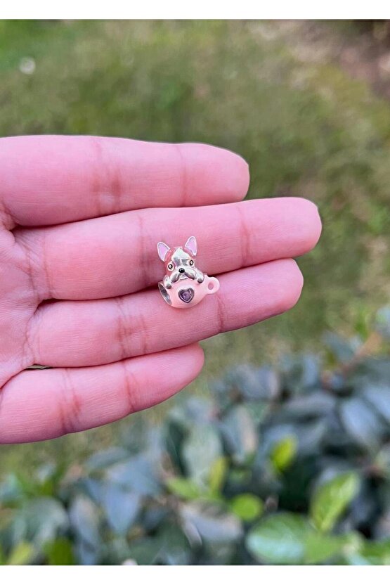 Bulldog Kupa Charm