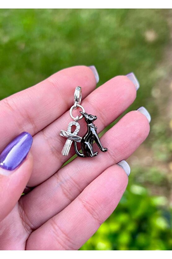 Sevimli Kedi Charm