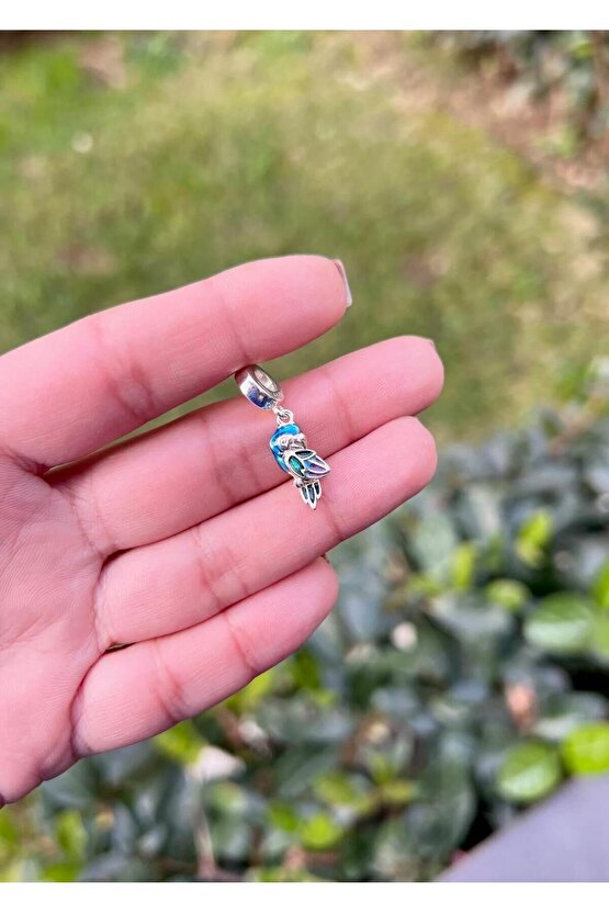 Tropik Cennet Papağanı Charm