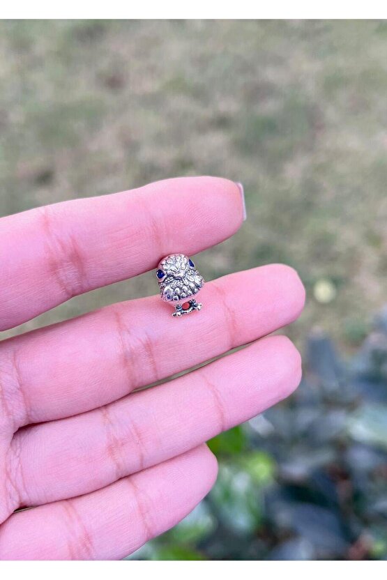 Kuş Charm
