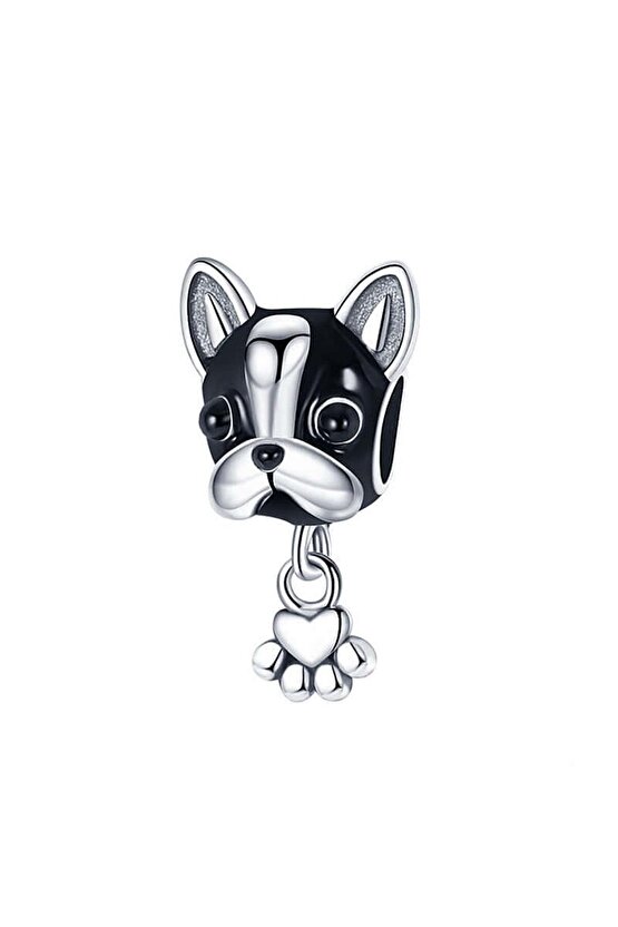 Köpek Charm