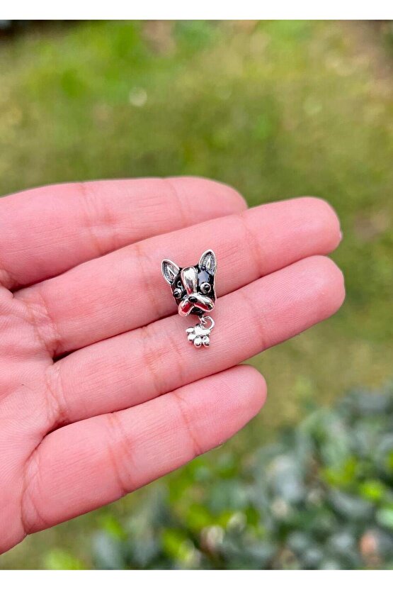 Köpek Charm