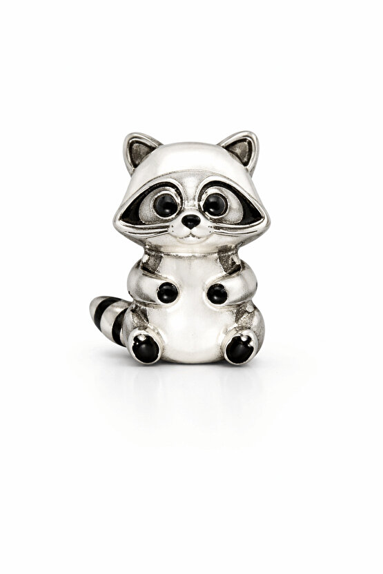 Rakun Charm