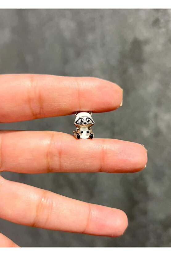 Rakun Charm