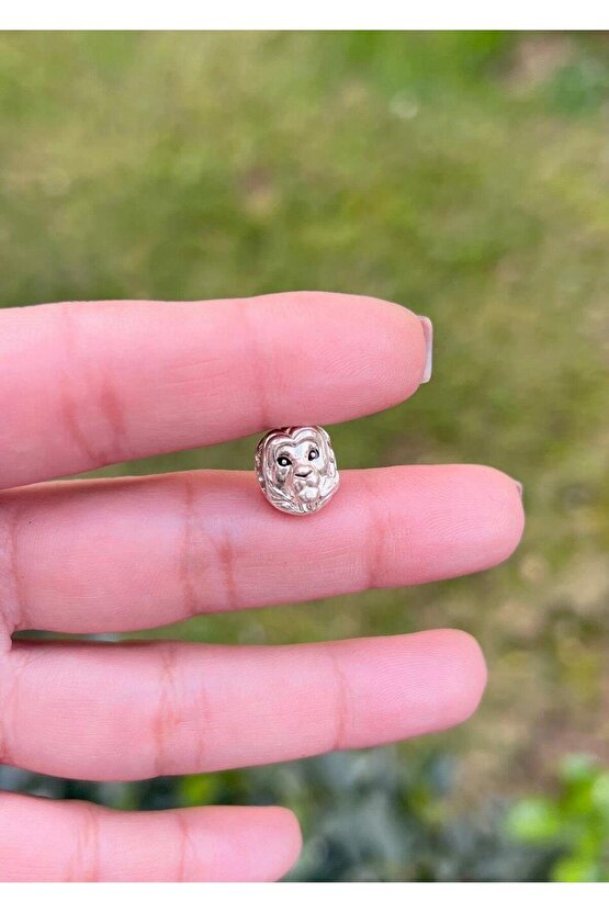 Aslan Charm
