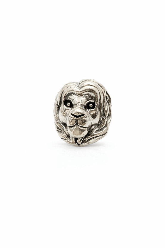 Aslan Charm