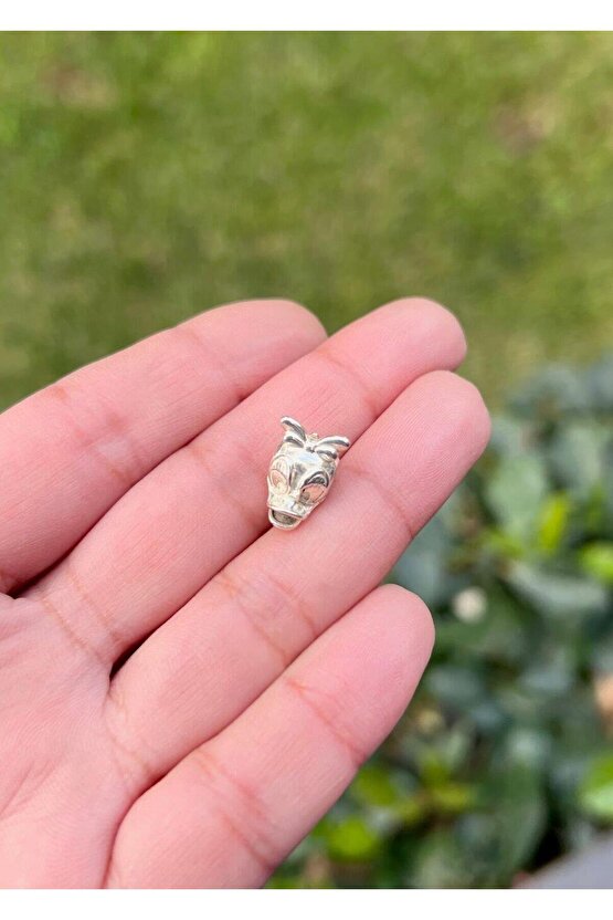 Daisy Charm