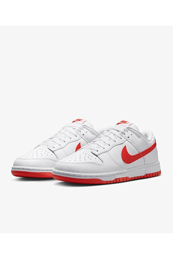 Dunk Low Retro Erkek Sneaker