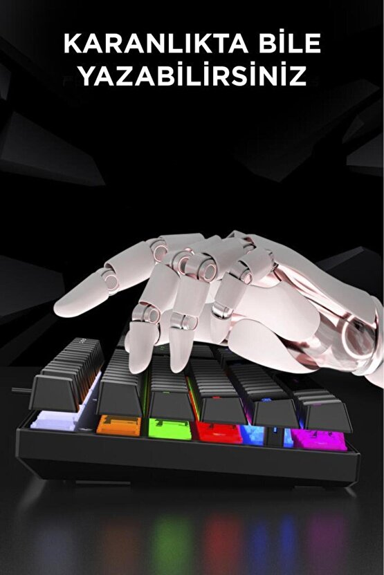 Oyuncu Klavyesi Rgb Işıklı Mekanik Blue Switch Kablolu Klavye TK05 Siyah