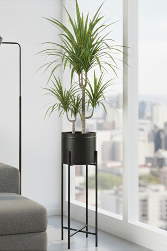 Siyah Dekoratif Ayaklı Metal Çiçeklik | 64 Cm Saksılık