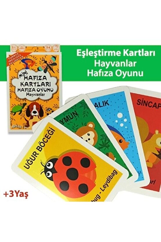 Star Hafıza Kartları Eşleştirme Eşini Bul Oyunu 3lü Set