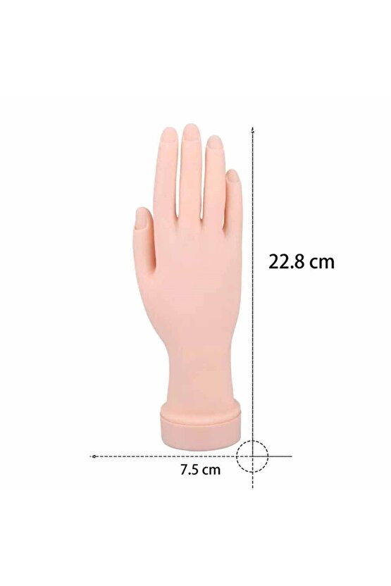 Silikon Protez Tırnak Eğitim Eli