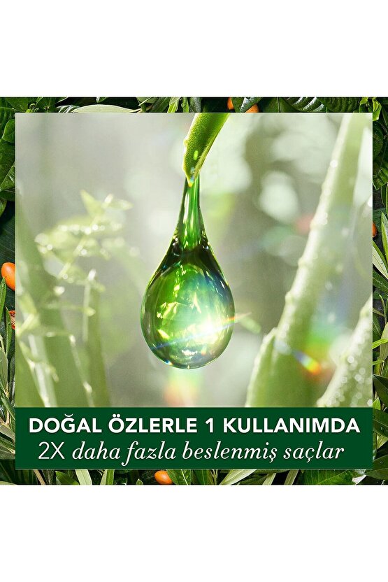 Vegan Şampuan Onarıcı Argan Yağı 350ml X 2 Adet