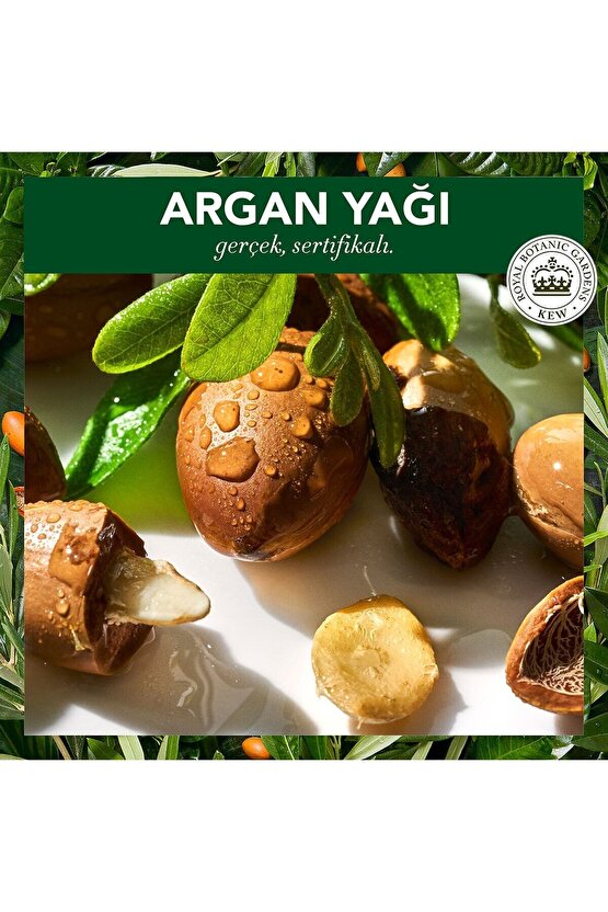 Vegan Şampuan Onarıcı Argan Yağı 350ml X 2 Adet