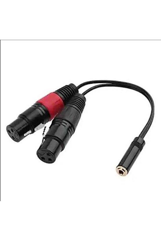 3.5 mm Stereo Dişi-2 Xlr Dişi Kablo 20 cm