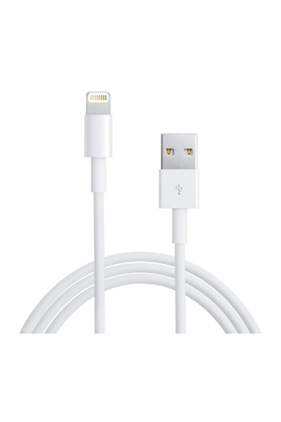 iPhone 5 Usb Kablosu