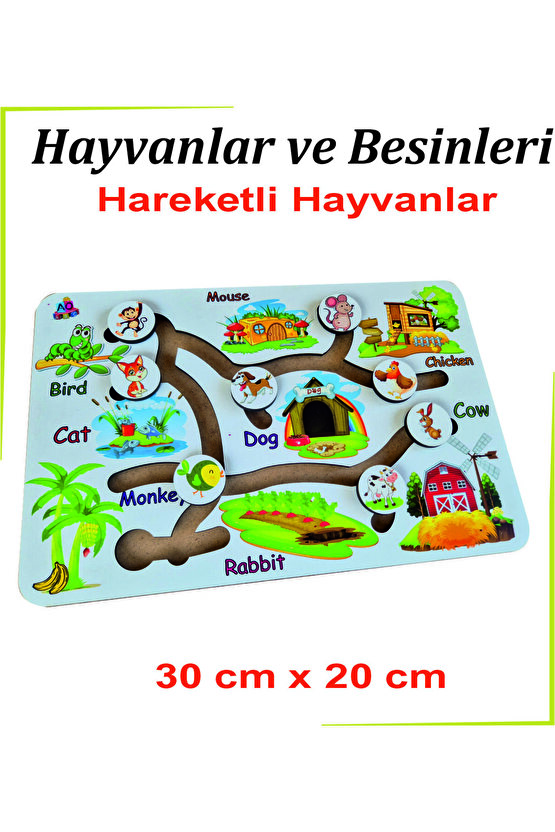 Hayvanlar ve Besinleri Beyaz Hareketli Hayvanlar İngilizce