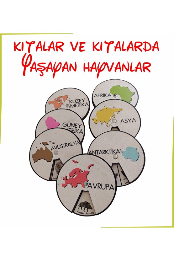 Ahşap Renkli Kıtalar Ve Kıtalarda Yaşayan Hayvanlar