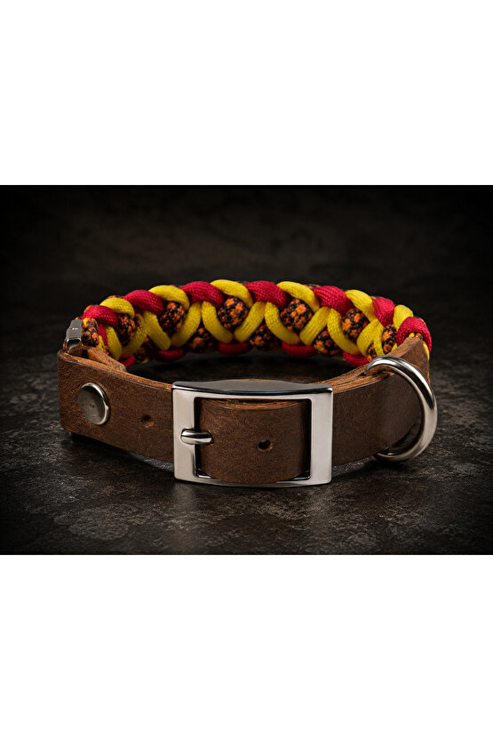 El Yapımı Paracord Köpek Tasması – Hakiki Deri, Dayanıklı Örgü, Metal Tokalı