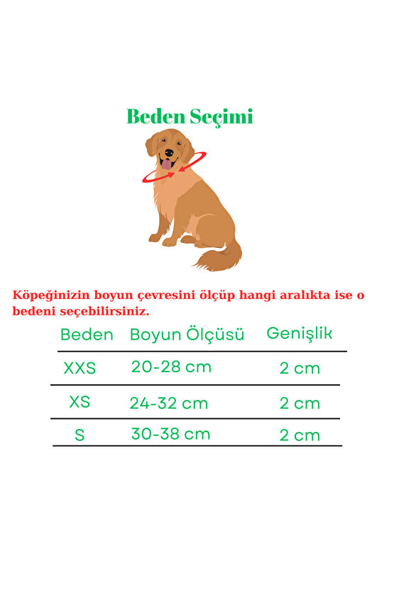 El Yapımı Paracord Köpek Tasması – Hakiki Deri, Dayanıklı Örgü, Metal Tokalı