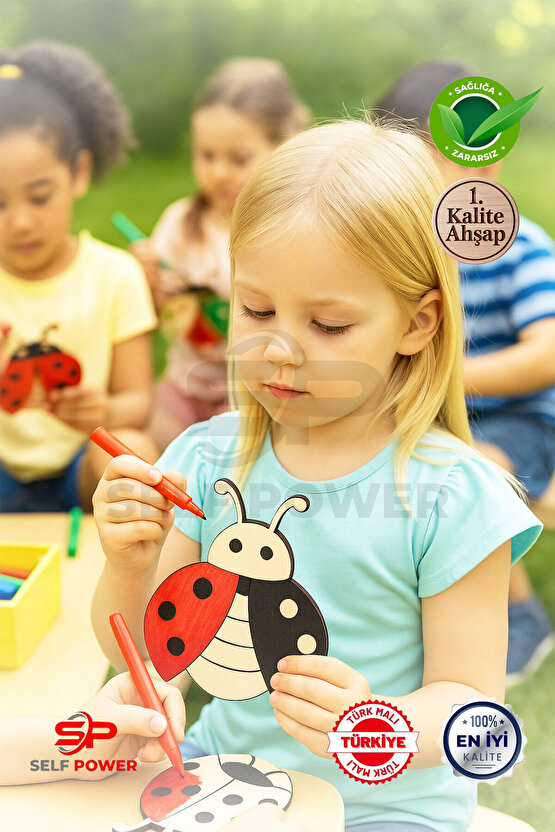 Okul Etkinlikleri için 5 Adet Ahşap Boyama Uğur Böceği
