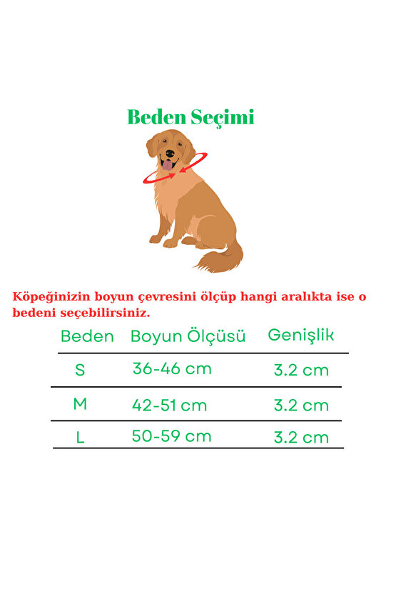El Örgüsü Paracord & Deri Köpek Tasması – Dayanıklı Ayarlanabilir, Metal Tokalı, Orta ve Büyük Irk